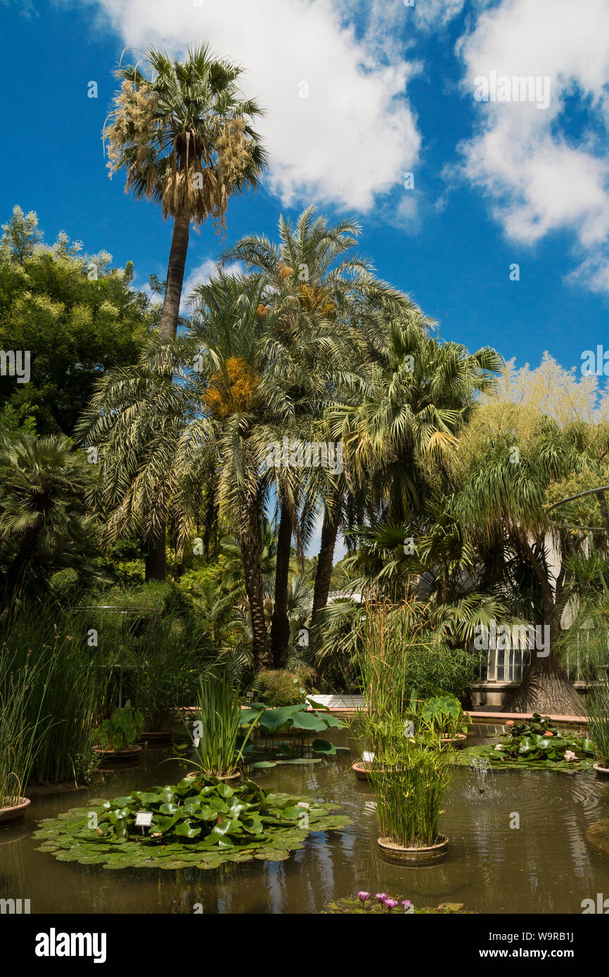 Valencia, Spain-07/19/2019: Jardin Botanico de la Universidad de Valencia, The Botanical Garden of the University of Valencia was founded in 1567 Stock Photo