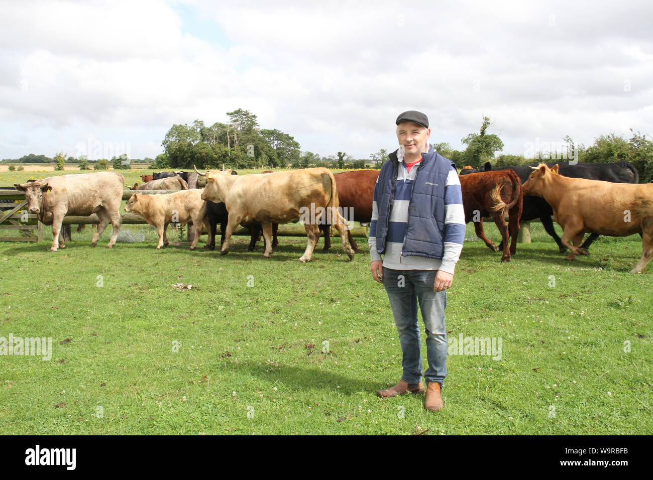 Beijing, Ireland. 9th Aug, 2019. Micheal Thornton, a 43-year-old Irish beef farmer, stands in his family farm in Clonee Village of County Meath, Ireland, Aug. 9, 2019. Credit: Zhao Tianyu/Xinhua/Alamy Live News Stock Photo