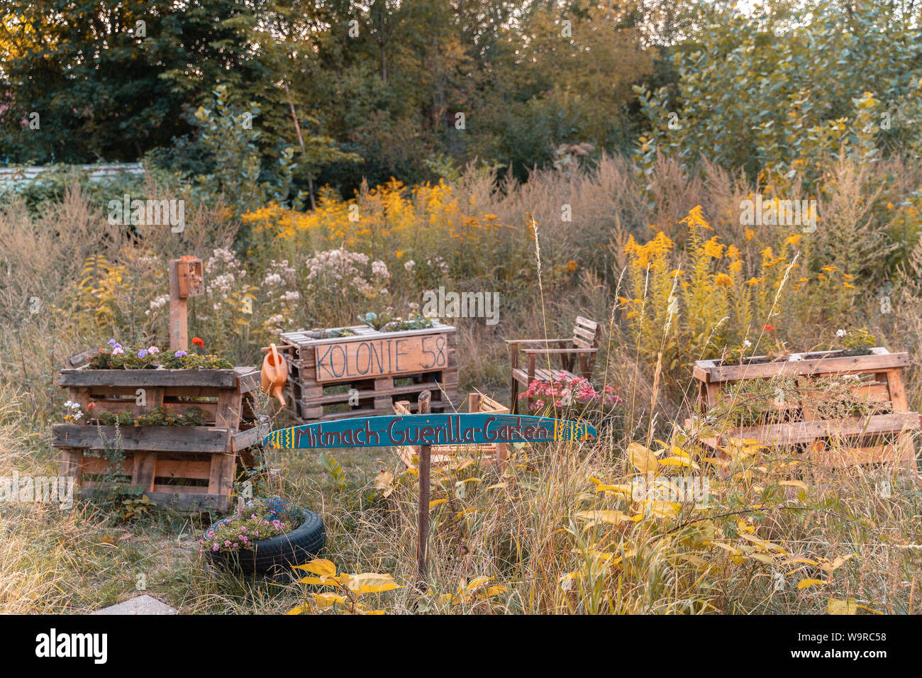 Chemnitz Germany August 14 2019 Community Garden Kolonie 58