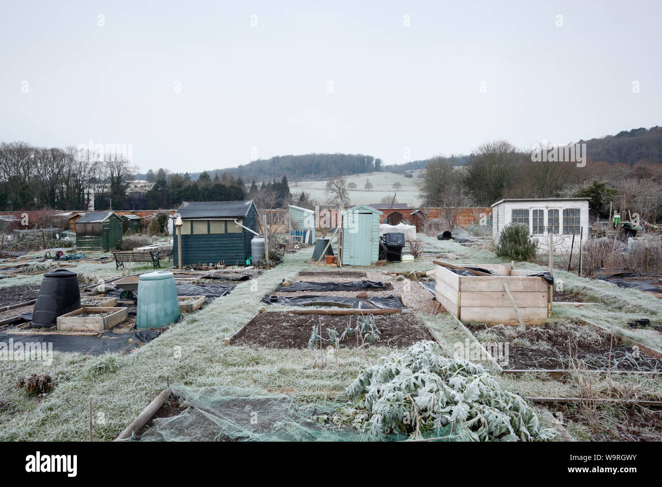 Allotments on a frosty winter's morning. Bristol. UK. Stock Photo