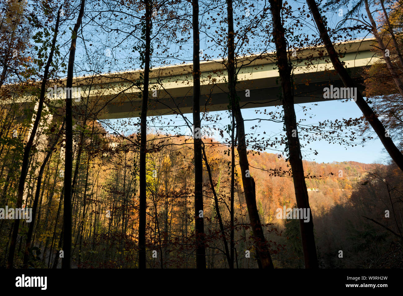 Switzerland, Vaud, Waadt, Vevey, forêt, Wald, forest, feuilles, Viaduc de Gilamont, Viadukt, viaduct Stock Photo