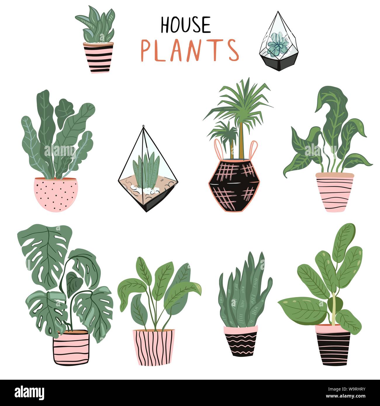 Set of different house plants Stock Vector