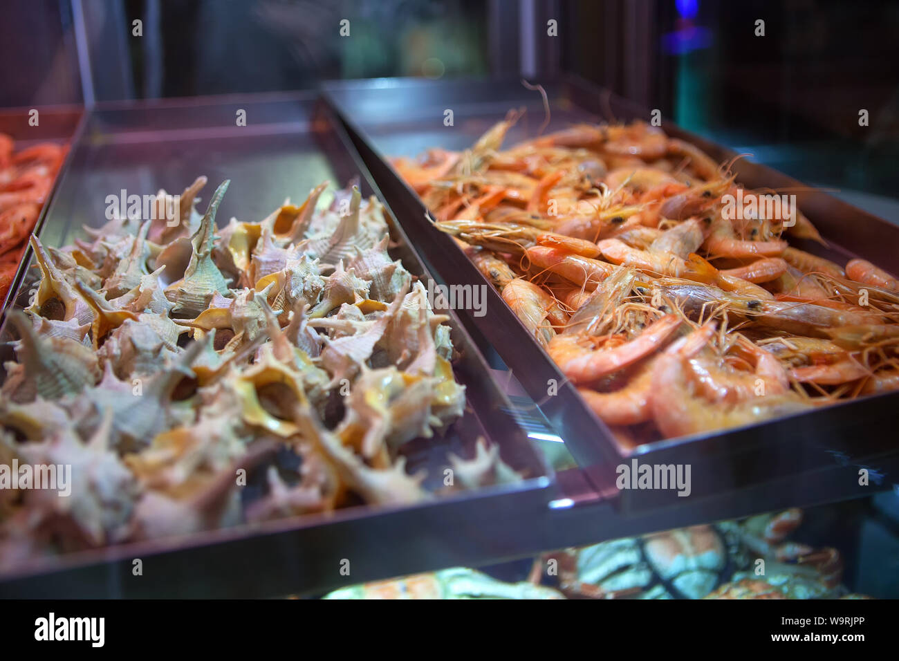 Seafood showcase hi-res stock photography and images - Alamy