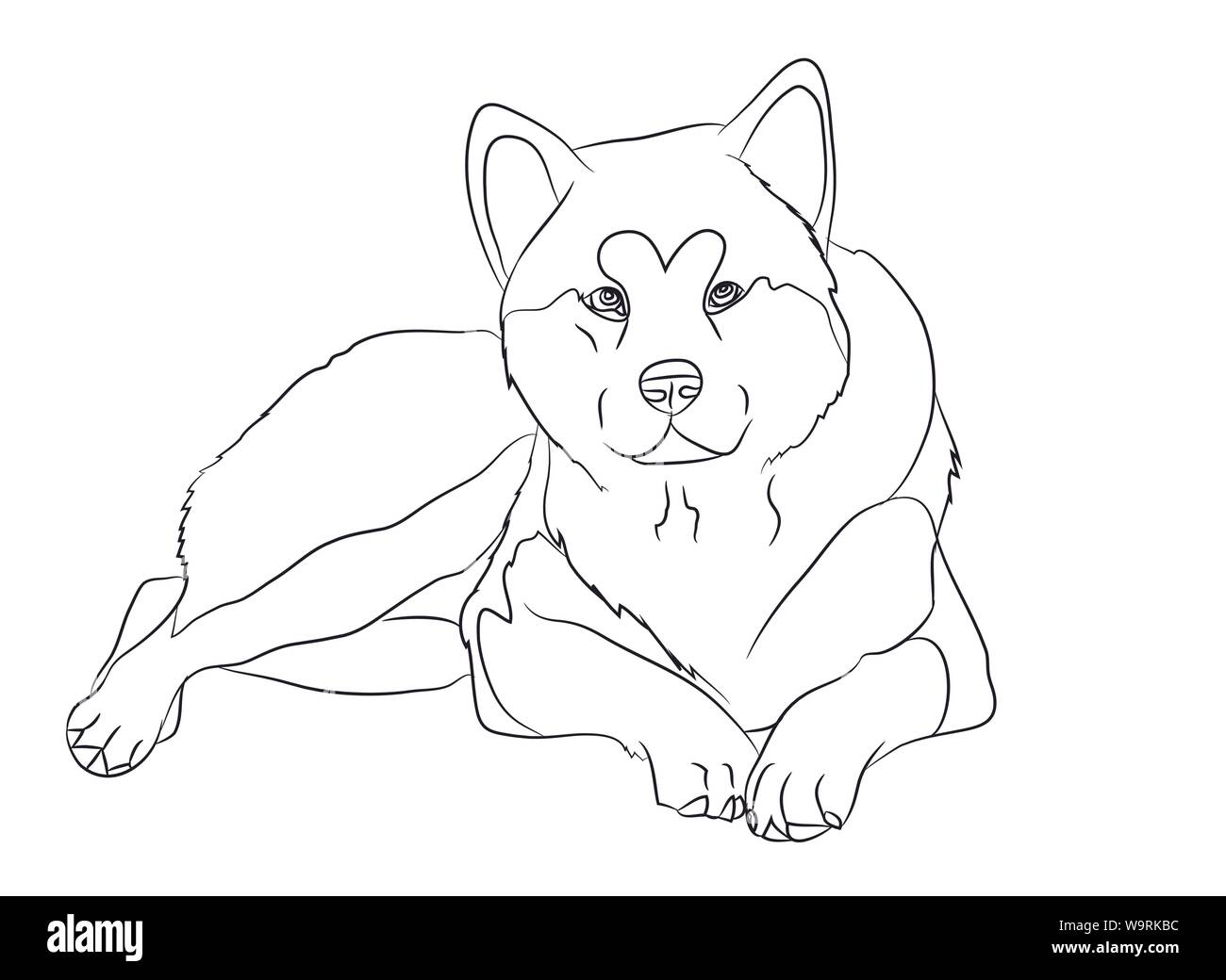 dog lies, lines, vector, white background Stock Vector