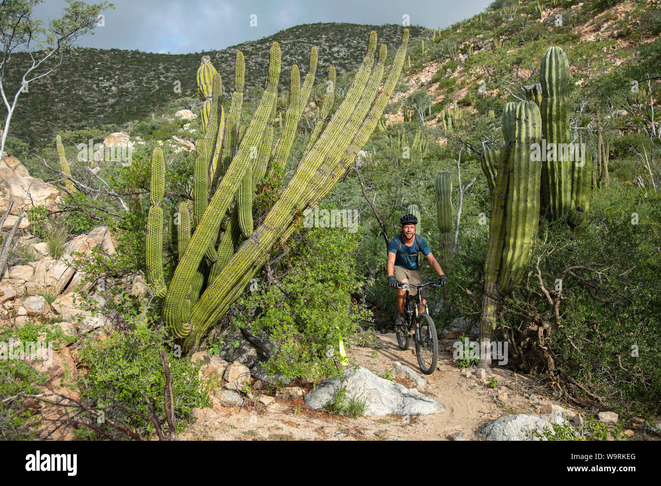 Central America, Mexico, Baja California, Mexican, El Sargento, La Ventana, Desert Mountain Biking MR 0630 *** Local Caption *** Stock Photo