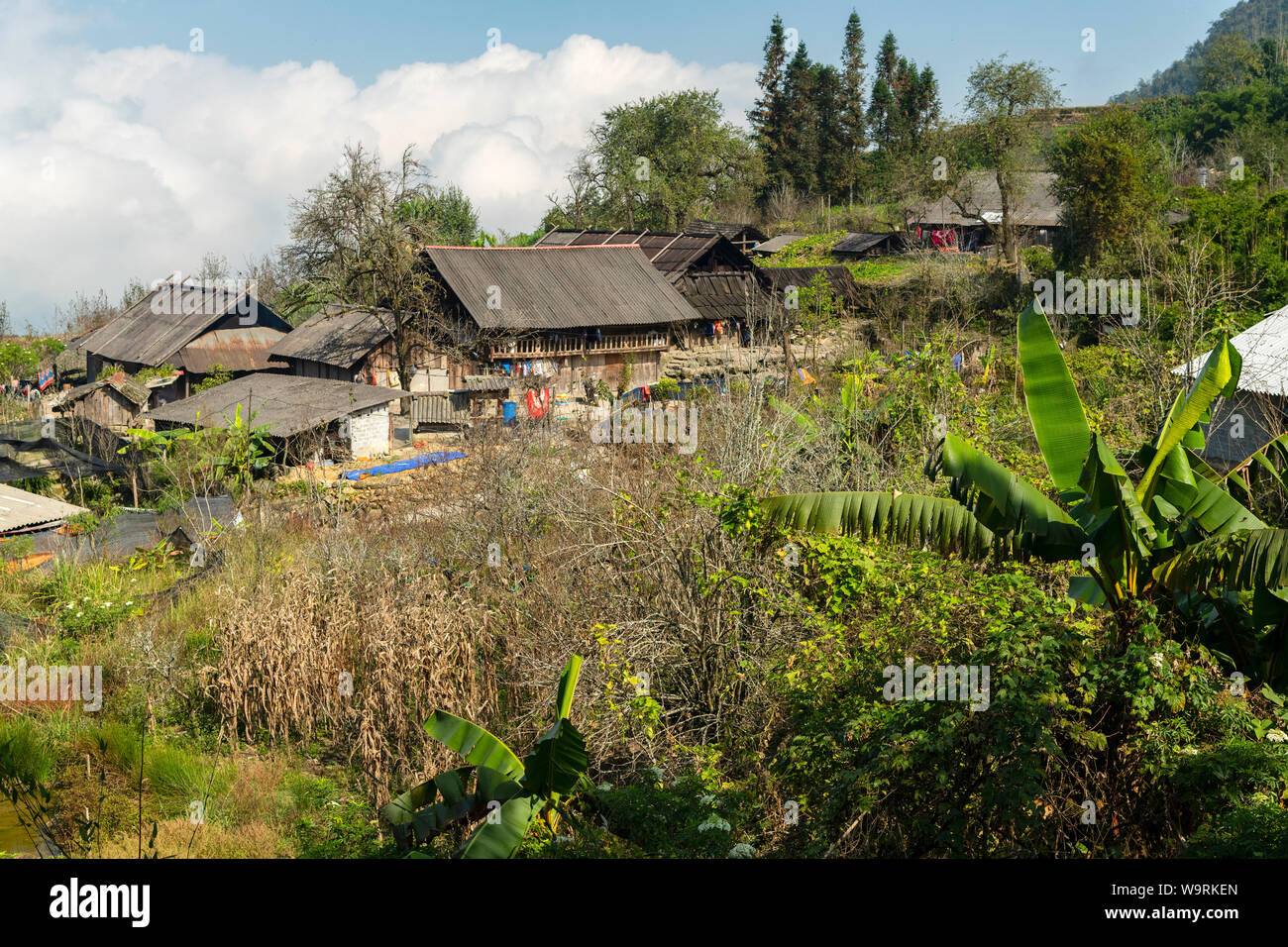 Asia, Asien, Southeast Asia, Vietnam, Northern, Hoang Lien Son Mountains, Sa Pa, Hill tribe house *** Local Caption *** Stock Photo