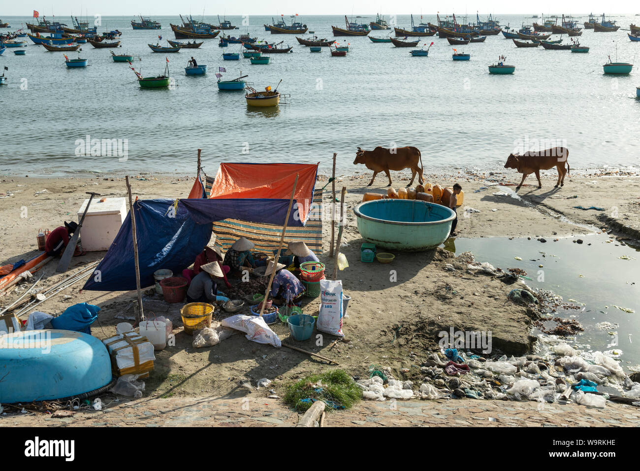 Asia, Asian, Southeast Asia, Vietnam, Southern, Binh Thuan Province 