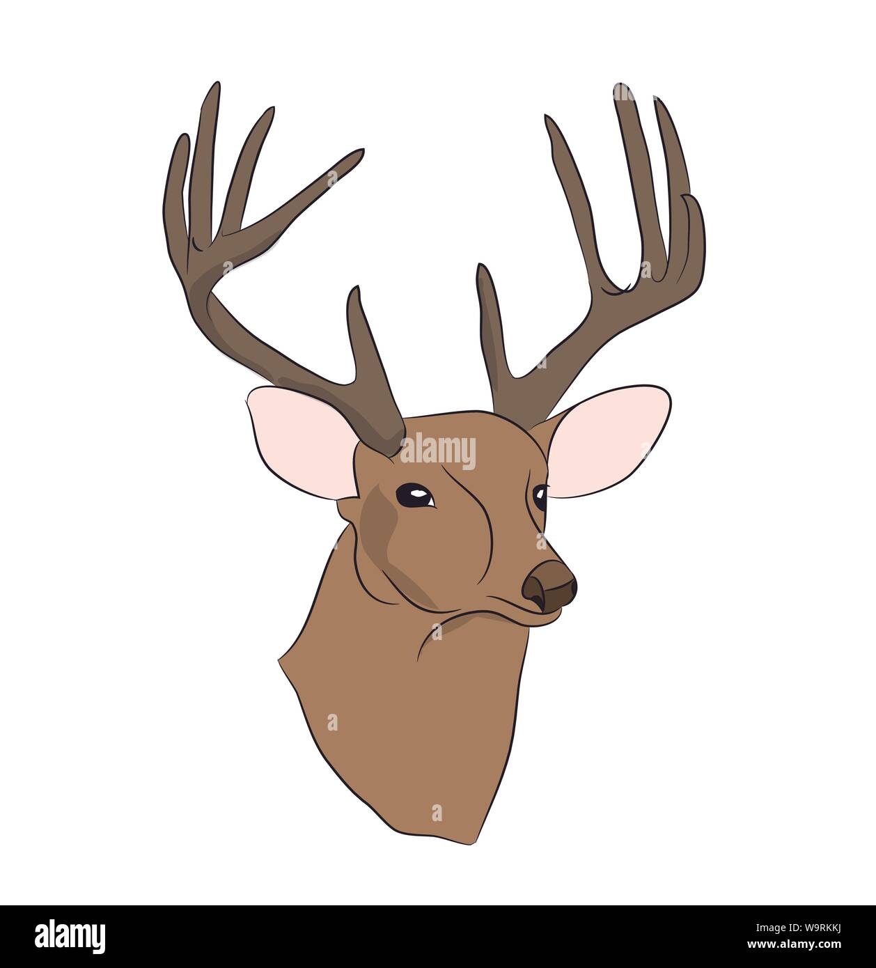 deer portrait, vector, white background Stock Vector Image & Art - Alamy