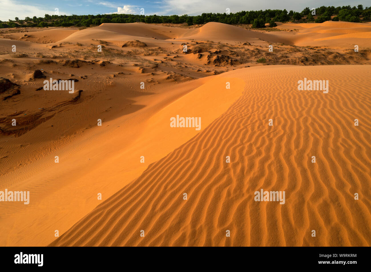 Asia, Asian, Southeast Asia, Vietnam, Southern, Binh Thuan Province, Phan Thiet, red sand dune *** Local Caption *** Stock Photo