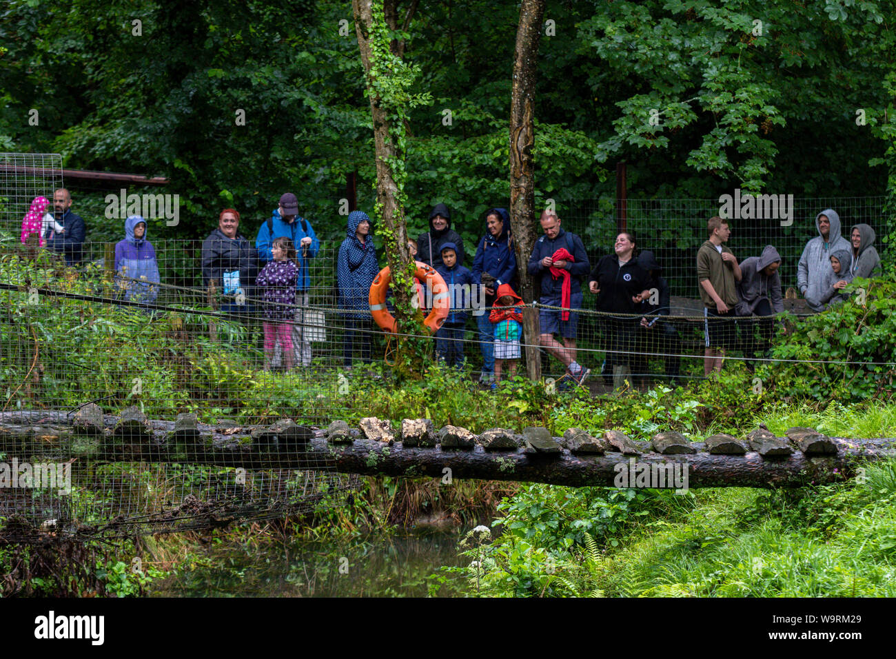 Tenby, Wales. 14th August 2019. Gibbon Talk at Manor House Wildlife