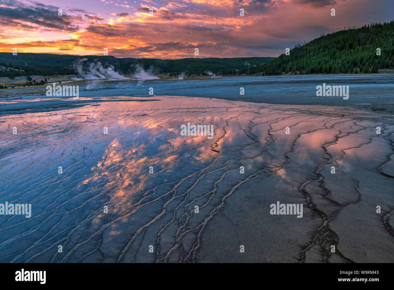North america american usa wyoming yellowstone national park