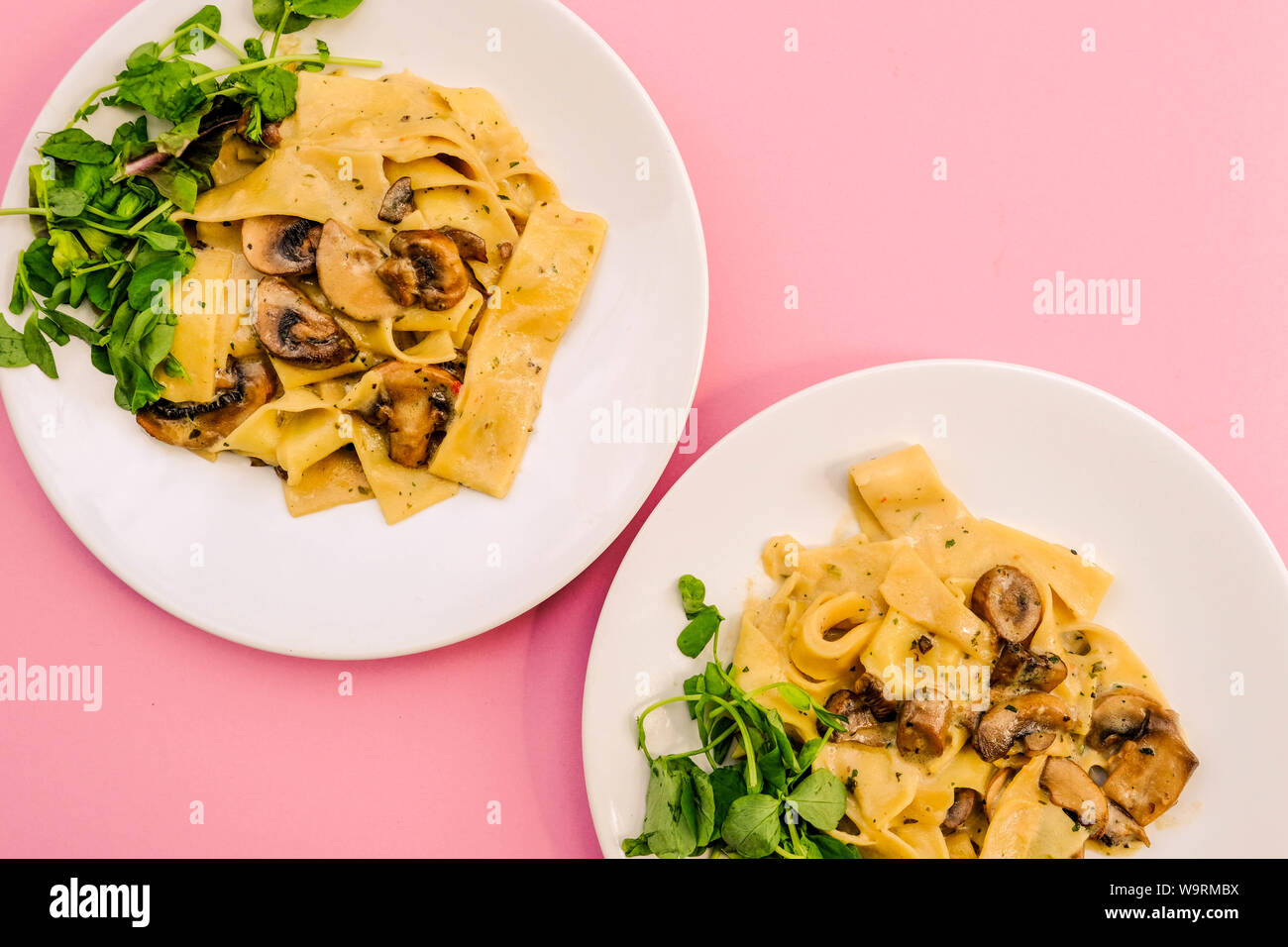 Italian Style Vegetarian Mushroom Pappardelle Pasta Meal With a Fresh