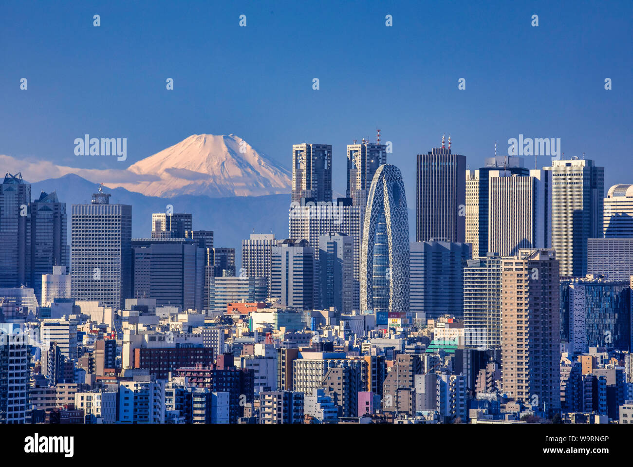 Japan Tokyo City Shinjuku Skyline And Mount Fuji Local Caption Stock Photo Alamy