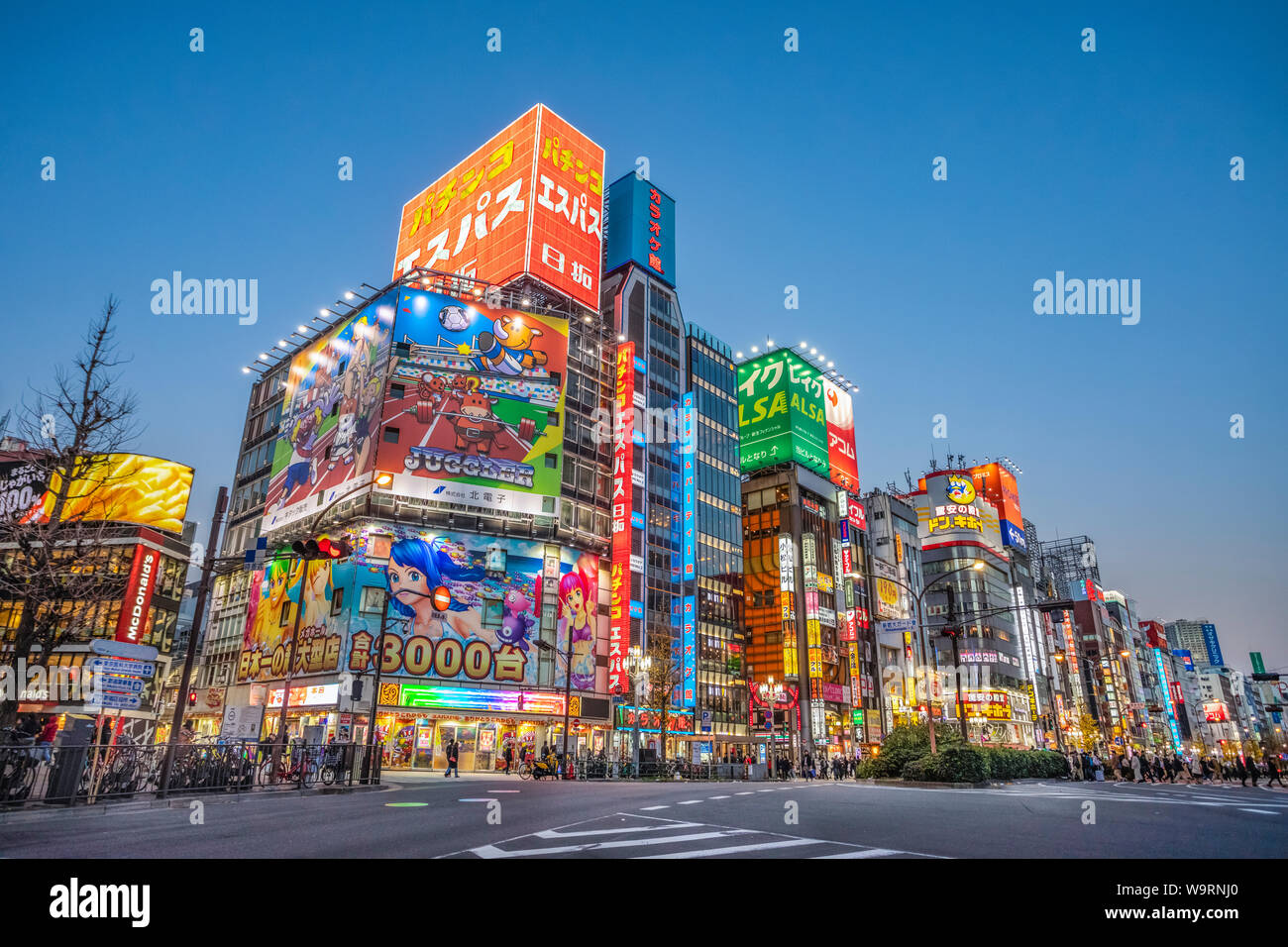 Japan, Tokyo City, Shinjuku Ward, Kabukicho Area, Yasukuni Dori Avenue, 30069944 *** Local Caption *** Stock Photo