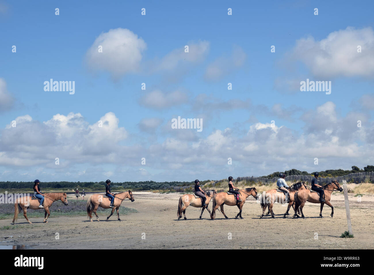 Horse riding at low tide, Le Crotoy, Somme estuary, northern France, August 2019 Stock Photo