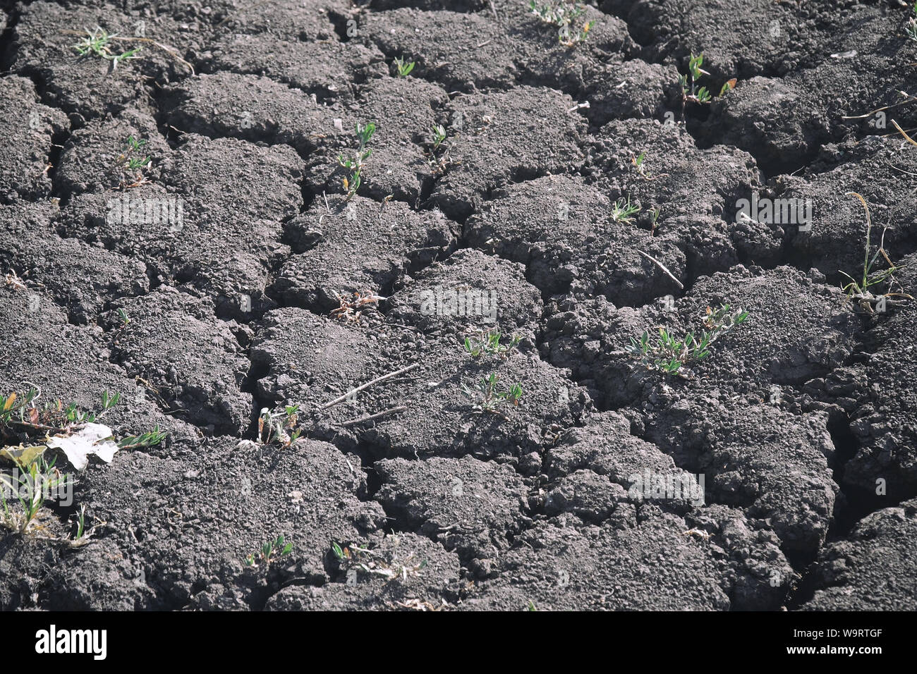 Black Clay Soil High Resolution Stock Photography and Images - Alamy