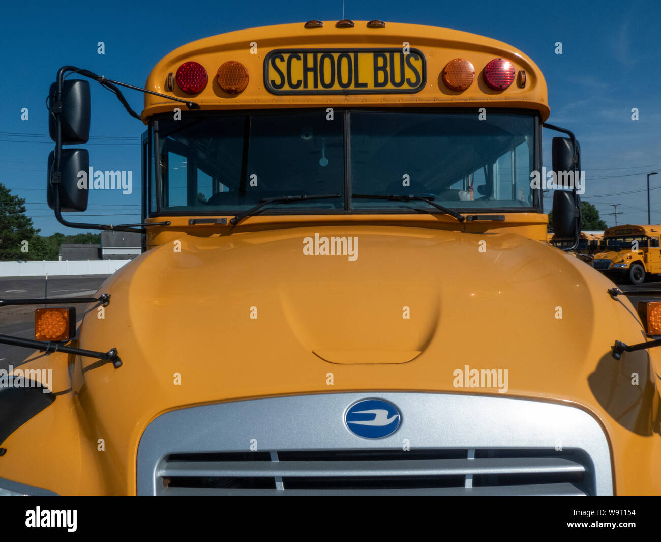 School buses parked on lot. Stock Photo