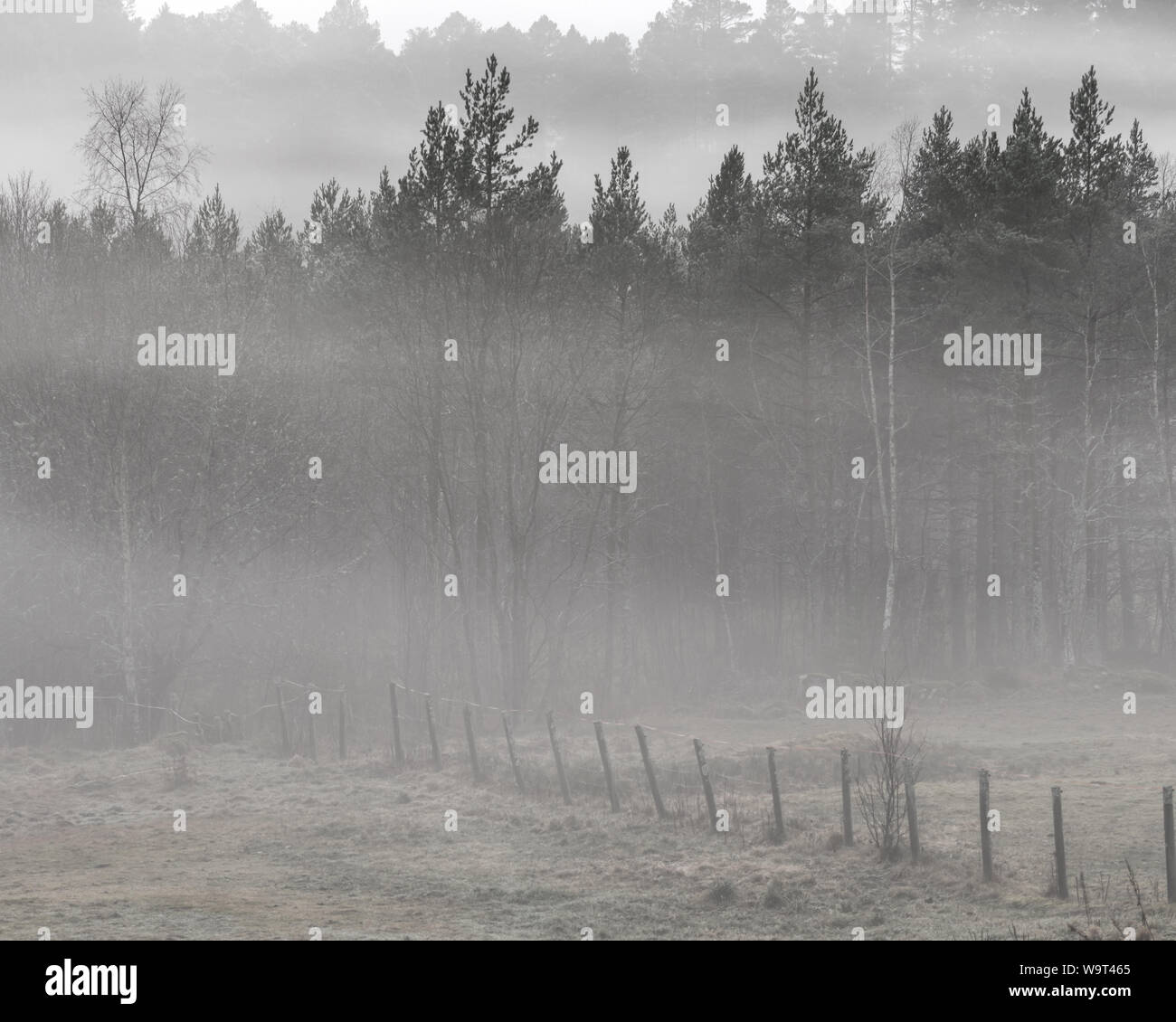 Landscape Photography grey scale black and white fog Stock Photo - Alamy