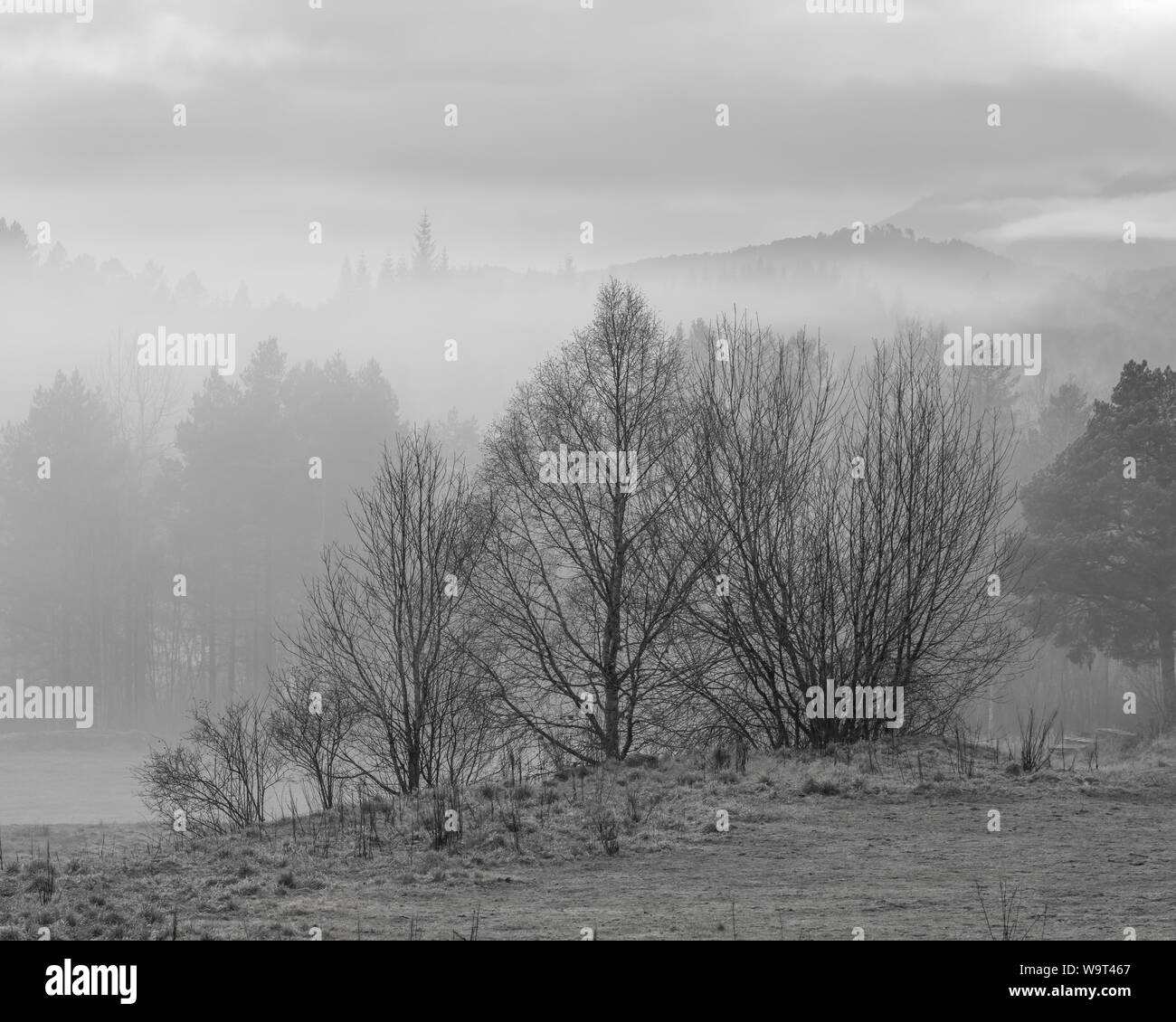 Landscape Photography grey scale black and white fog Stock Photo - Alamy