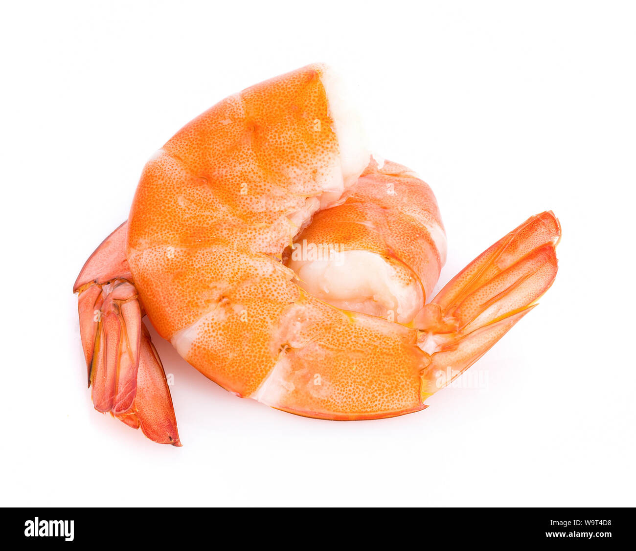 Black tiger shrimps Cut Out Stock Images & Pictures - Alamy