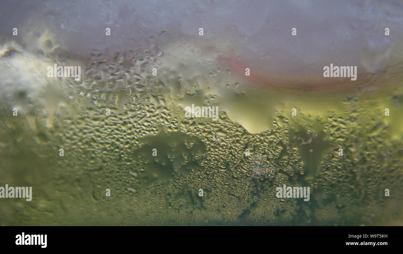 Close up of melting ice in water glass with sun reflection, abstract background, macro photography Stock Photo