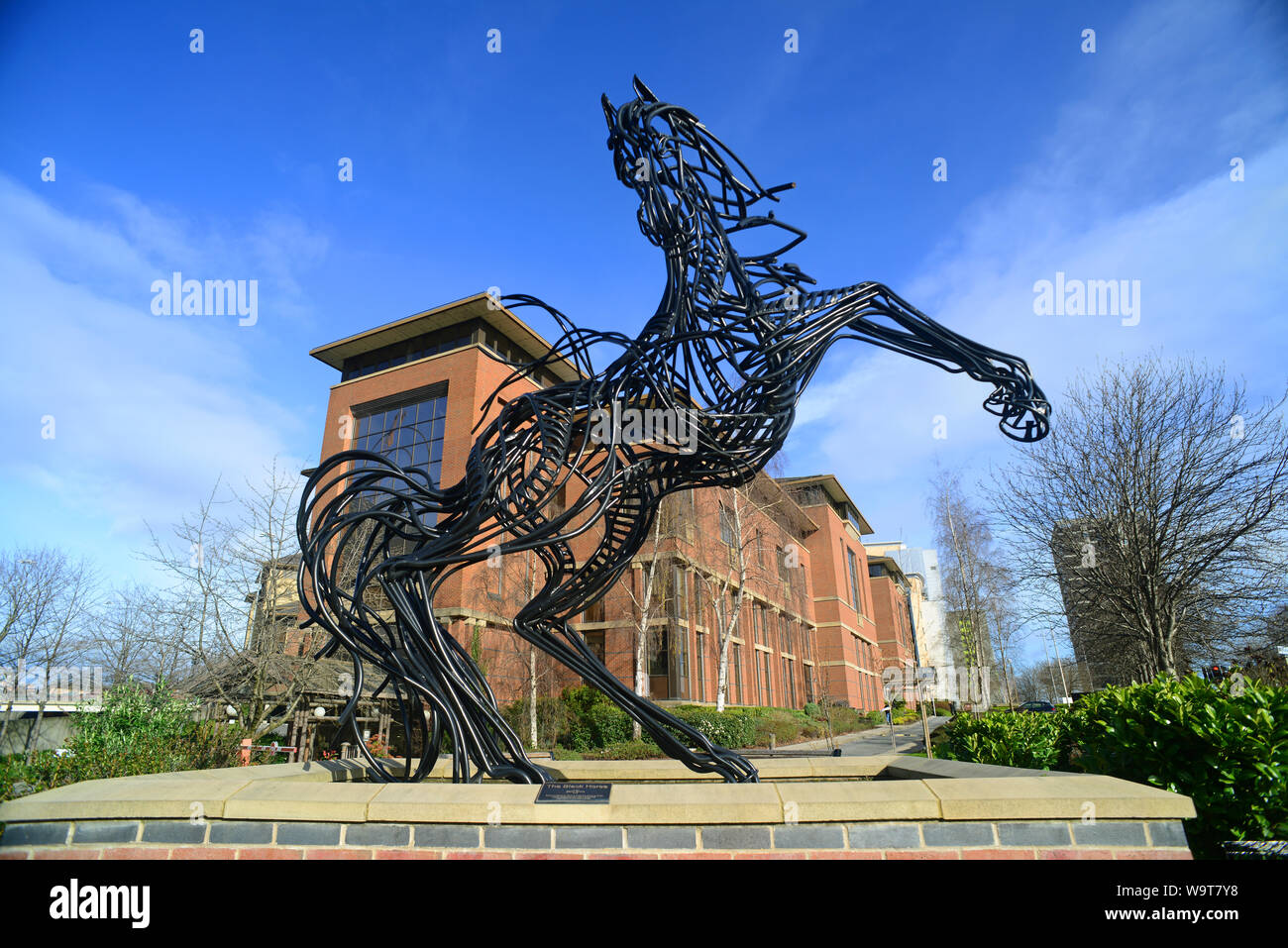 black horse statue 'Cancara' created by peter tysoe outside Lloyds bank headquarters Lovell Park Leeds united kingdom Stock Photo