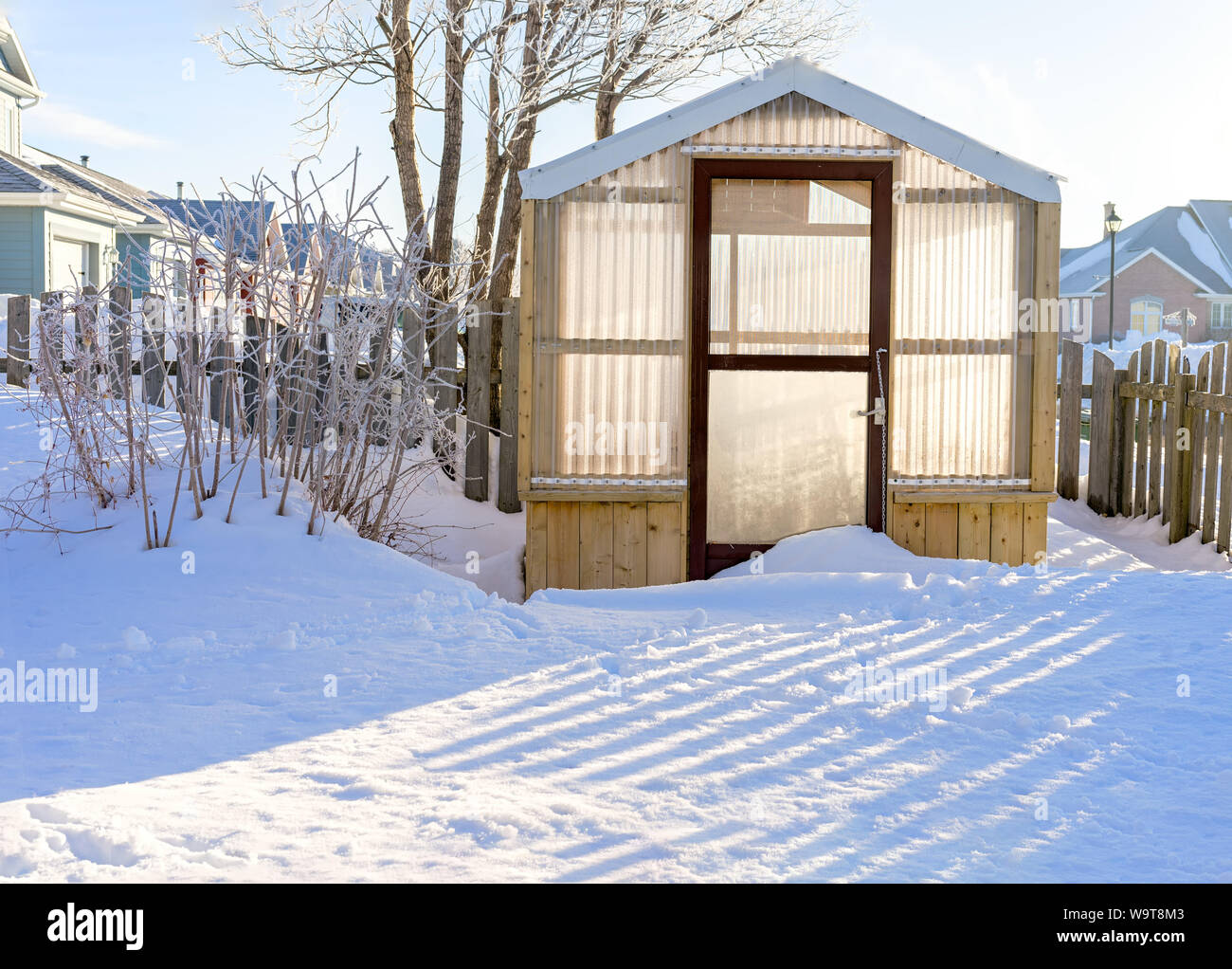 Small Wood Framed Greenhouse In A Residential Backyard Stock Photo
