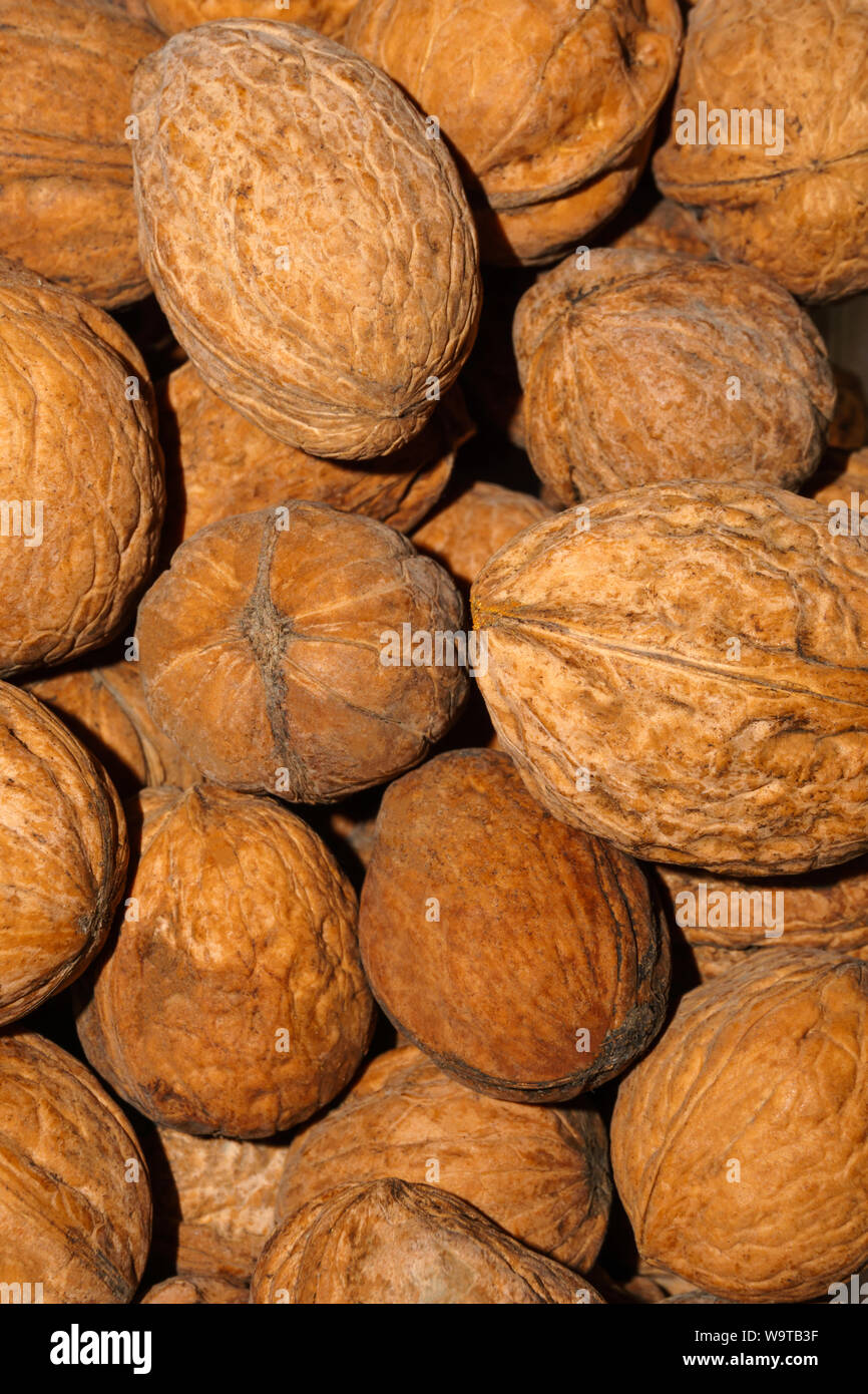 background - natural inshell walnuts Stock Photo