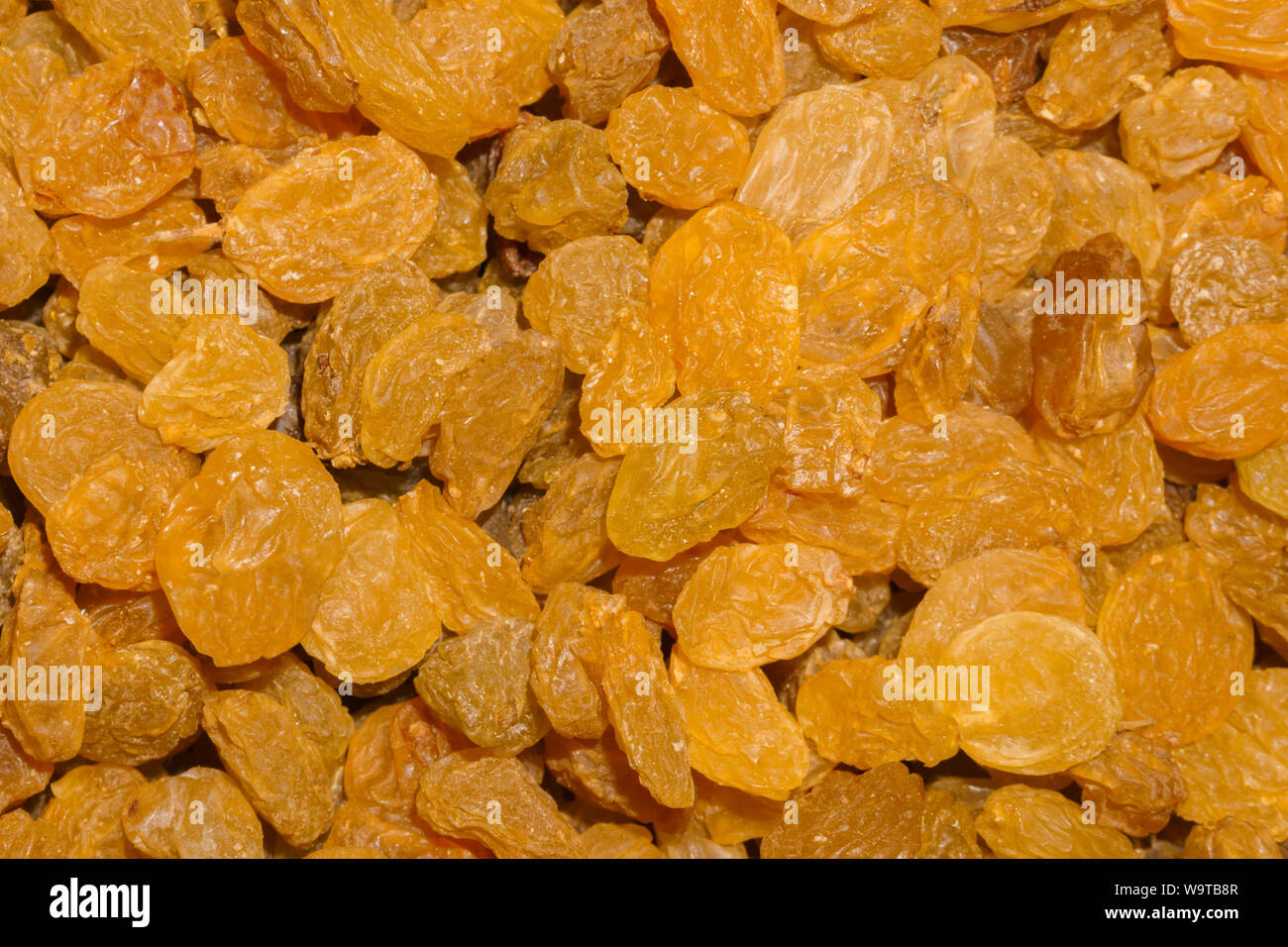 background - large yellow golden raisins Stock Photo