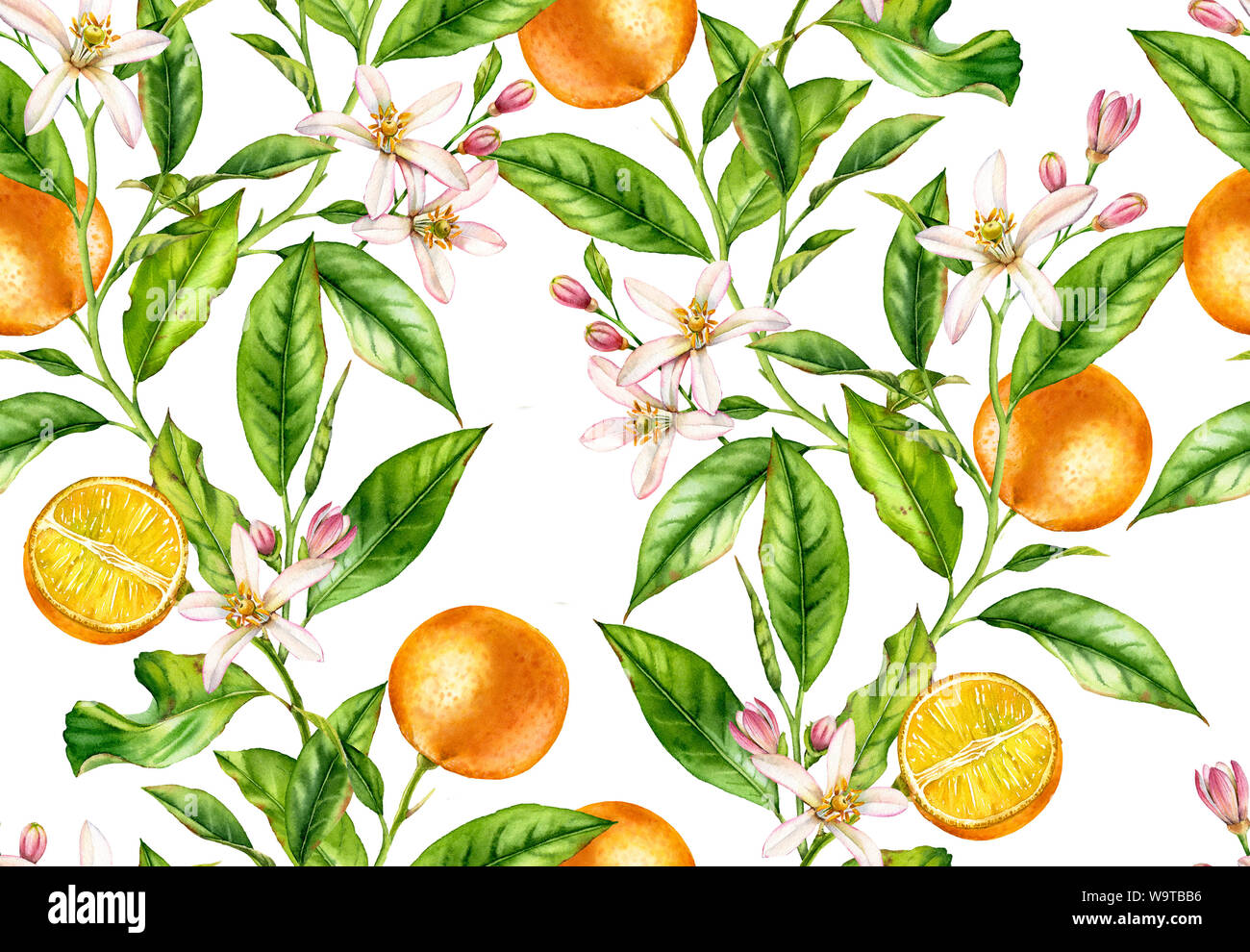 Orange fruit seamless pattern tree branch with flowers realistic ...