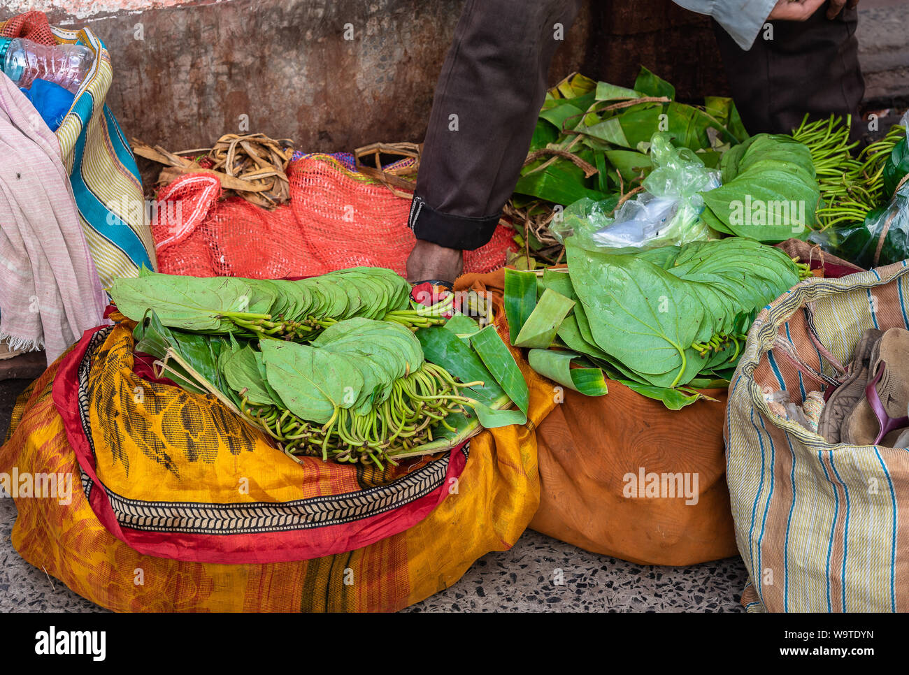 Paan Leaves sold at the Roadside . Selective Focus is used. Stock Photo