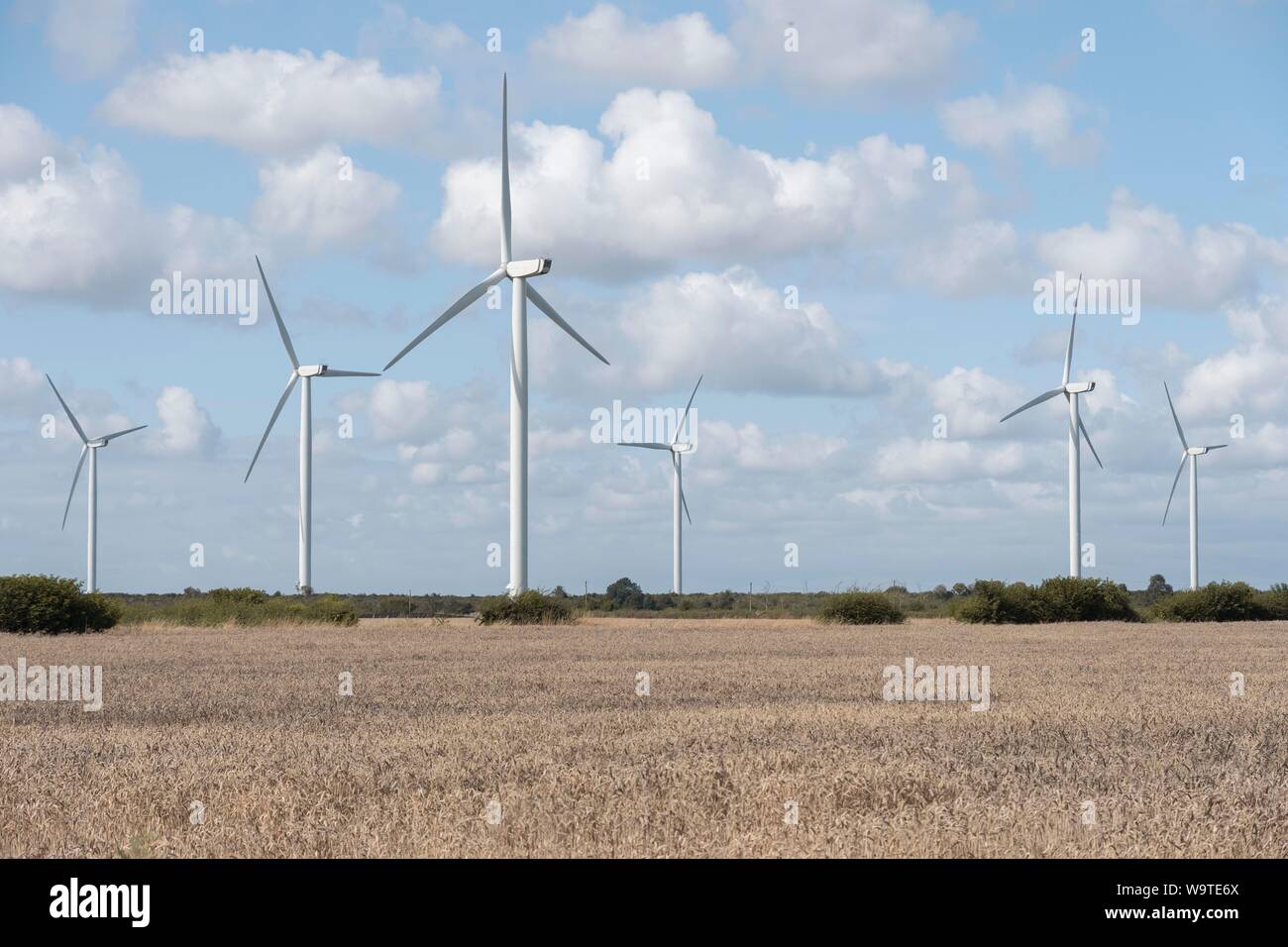 Wind Turbine's in a Field Stock Photo
