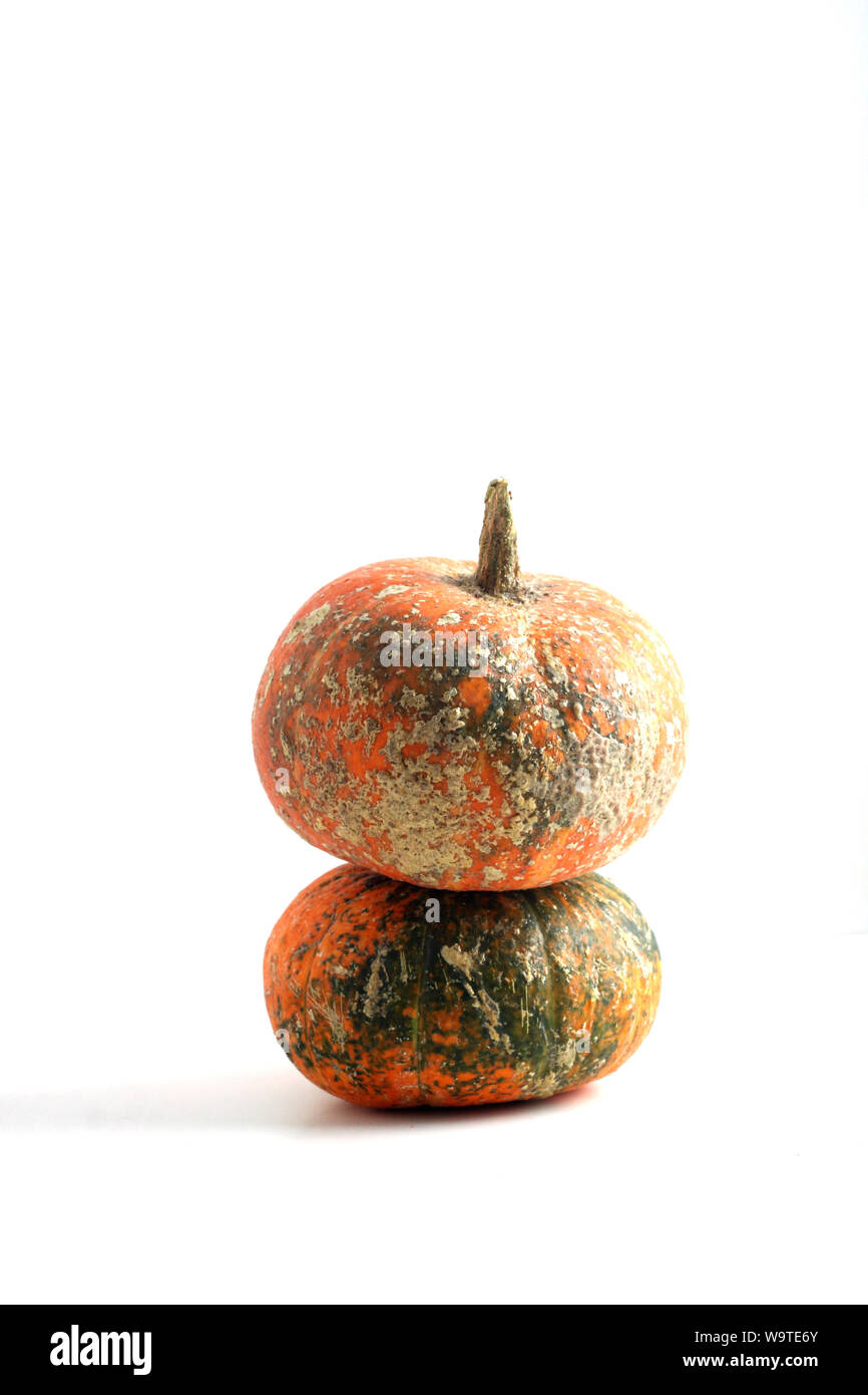 a pile of two pumpkins isolated on white background Stock Photo - Alamy