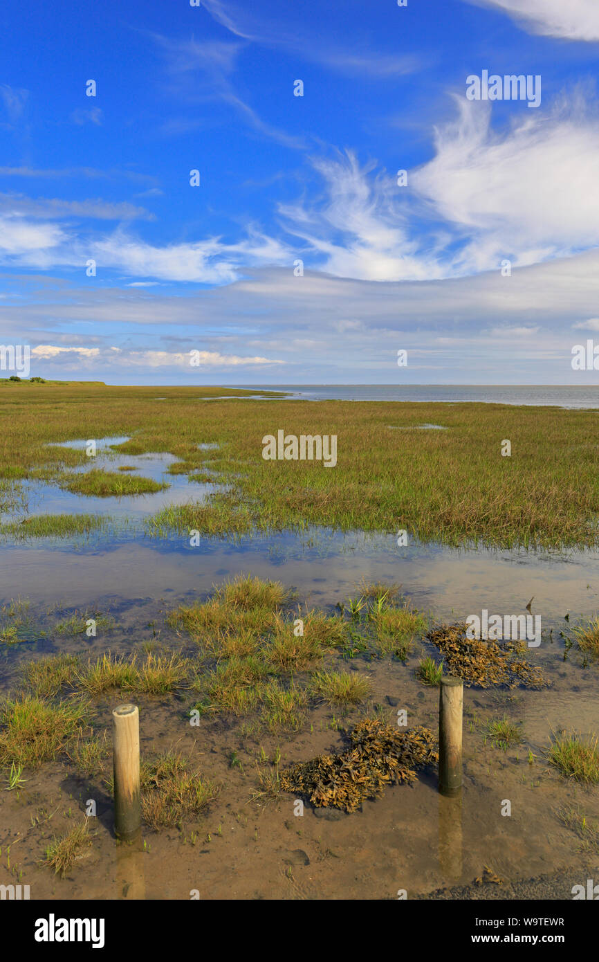 Beal Point tidal wetlands and the Northumberland Coast Path from Lindisfarne Causeway, Northumberland, England, UK. Stock Photo