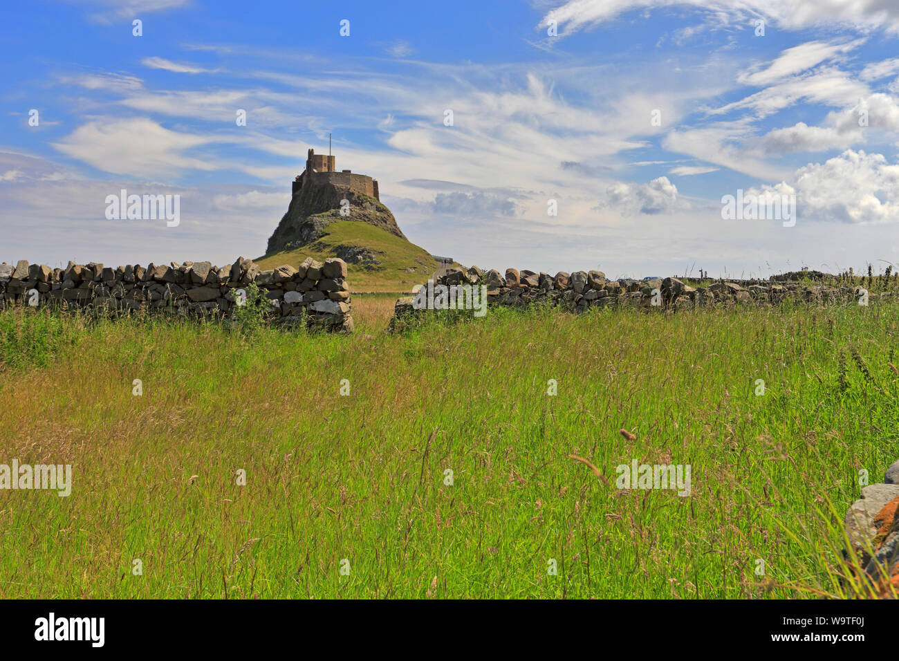 Lindisfarne Castle across a meadow from the roadside, Holy Island, Lindisfarne, Northumberland, England, UK. Stock Photo