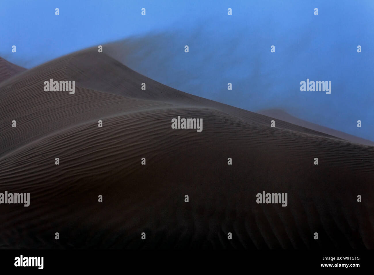 Sand storm in the desert, Riyadh, Saudi Arabia Stock Photo
