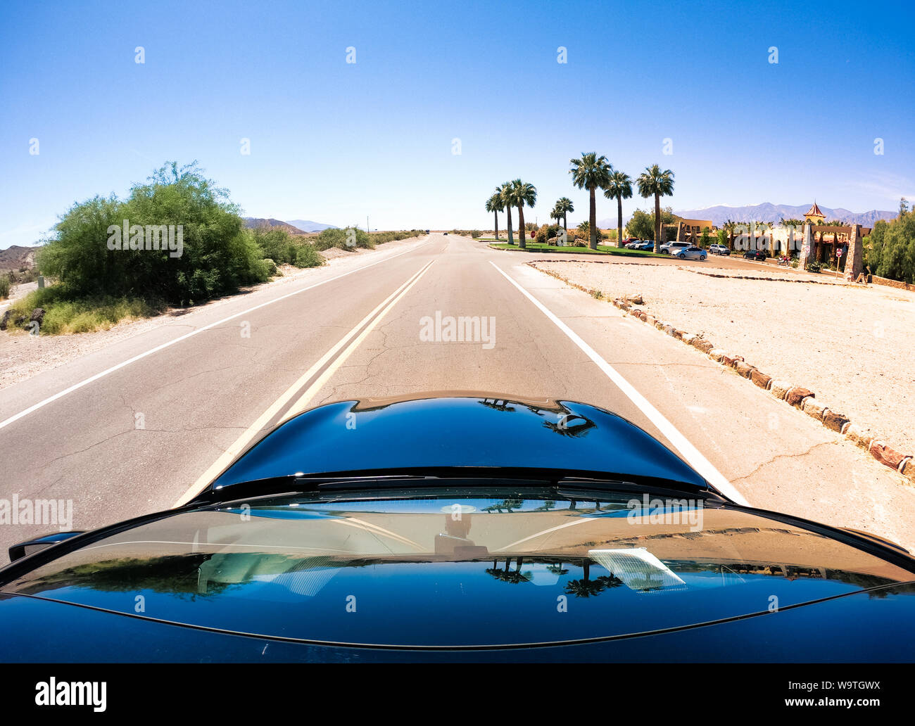 Car approaching an oasis along a desert road, Nevada, United States Stock Photo