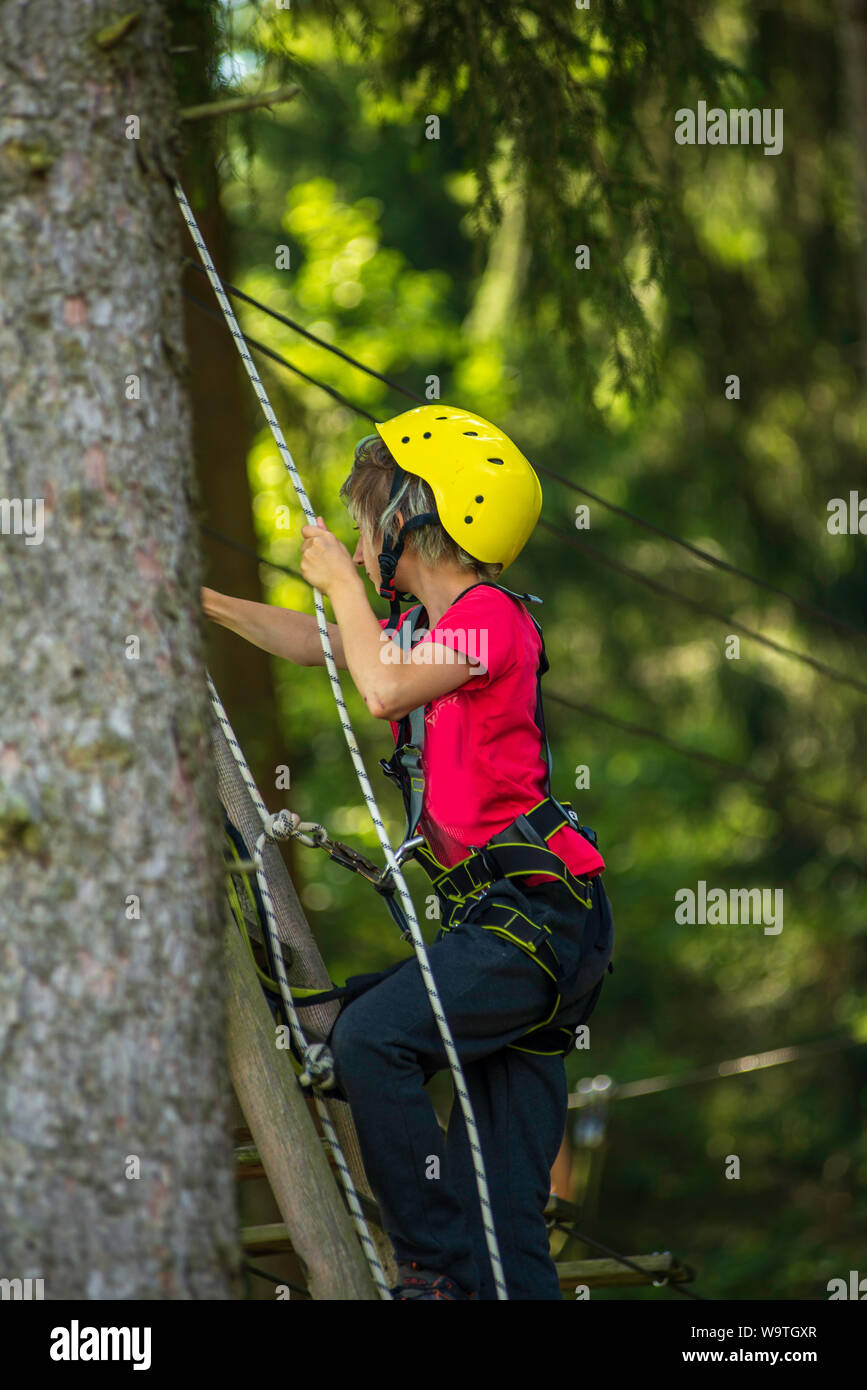 Boy climbing ladder in a highrope course Stock Photo Alamy