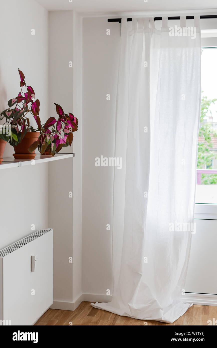 Part of the home or hotel interior, window with white curtains and ...