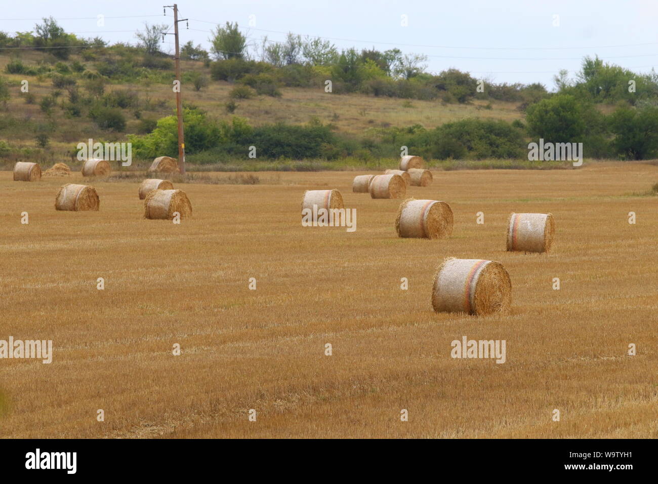 Harvested straw field with round dry hay bales in front of mountain ...