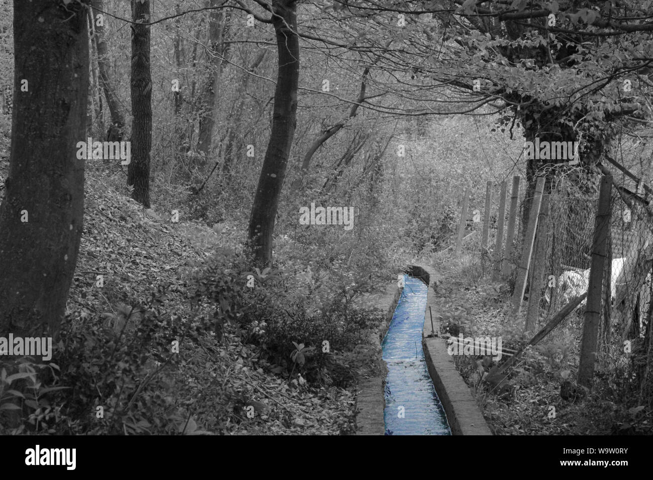 selective color , water way in forest Stock Photo
