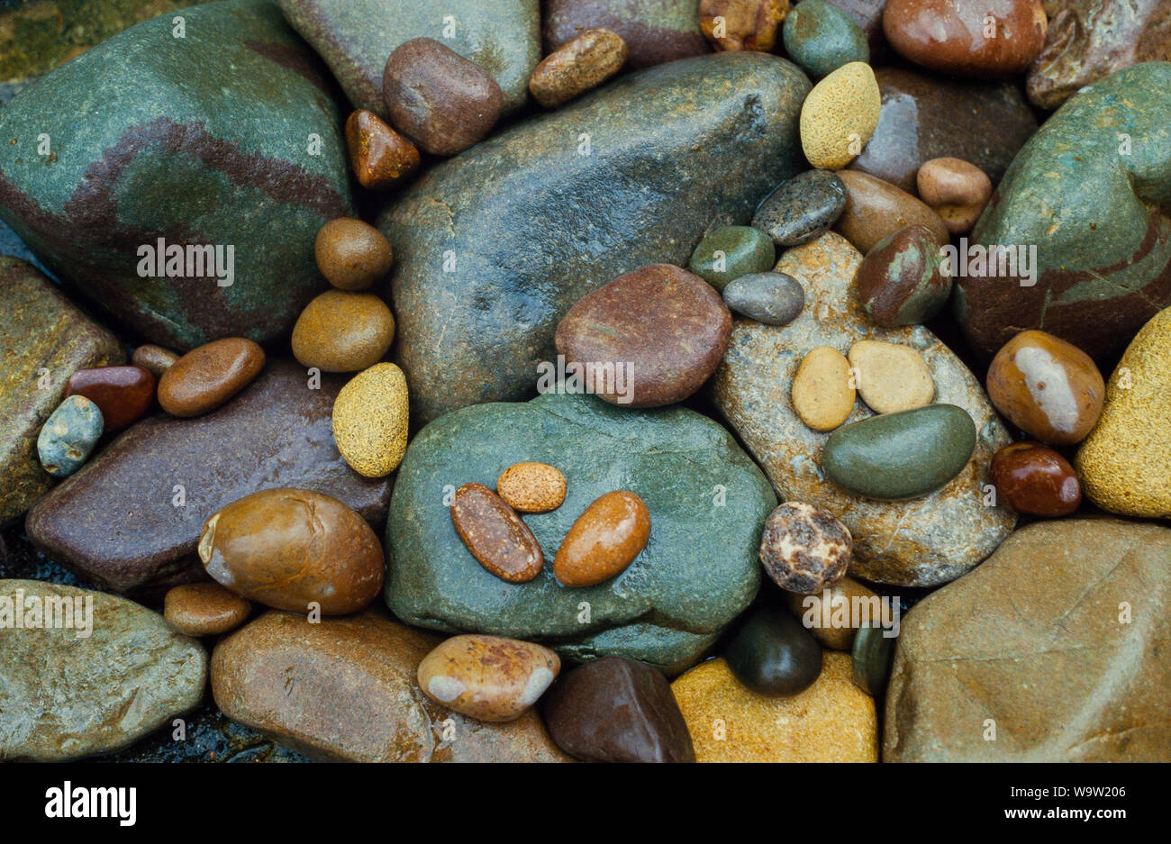 Wet stone pebbles from a beach, varied minerals show different colours Stock Photo