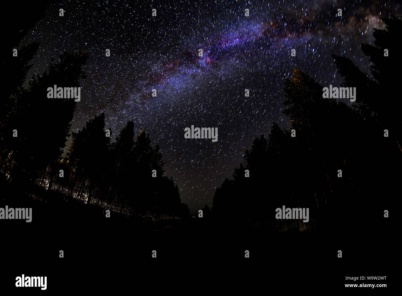 Milky Way in night sky with forest silhouette by stars Stock Photo - Alamy