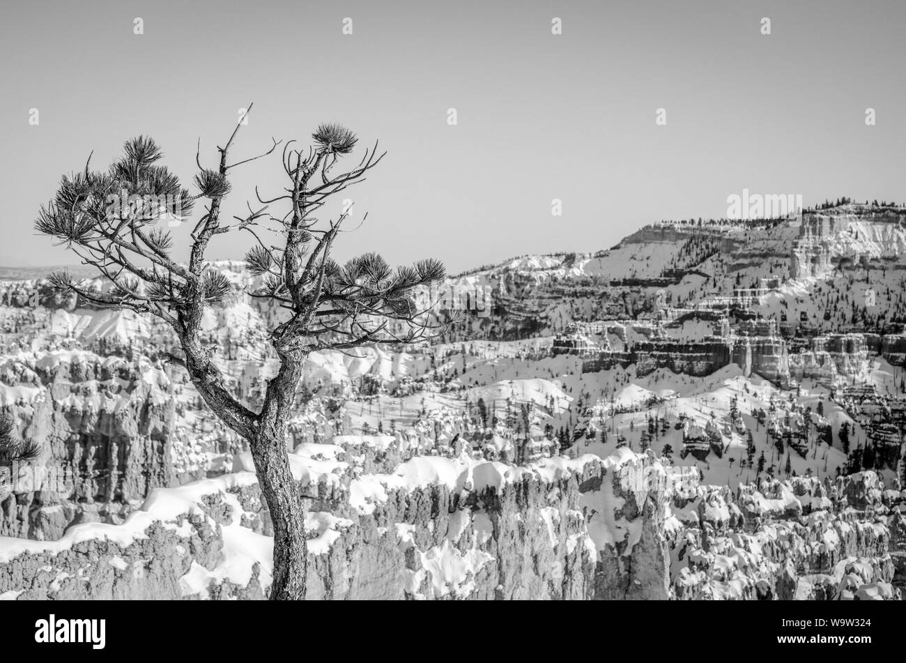 Snow covering beautiful rock formations at Bryce Canyon Stock Photo