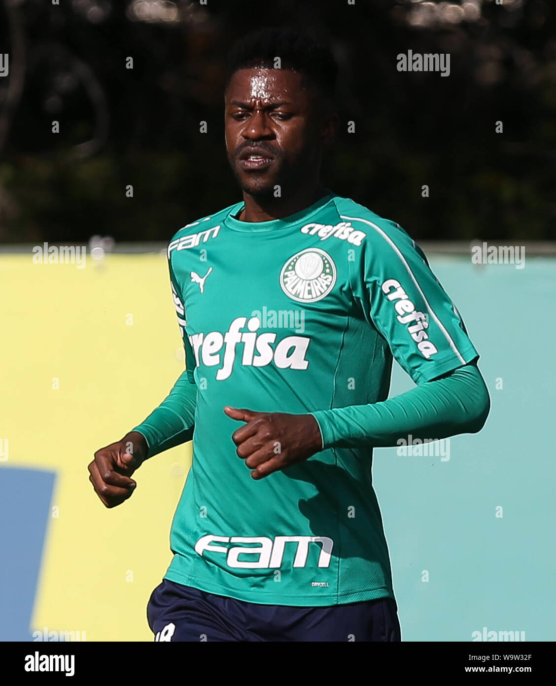 Sao Paulo, Brazil. 15th Aug, 2019. Player Ramires, from SE Palmeiras, during training at the Football Academy. Credit: Foto Arena LTDA/Alamy Live News Stock Photo