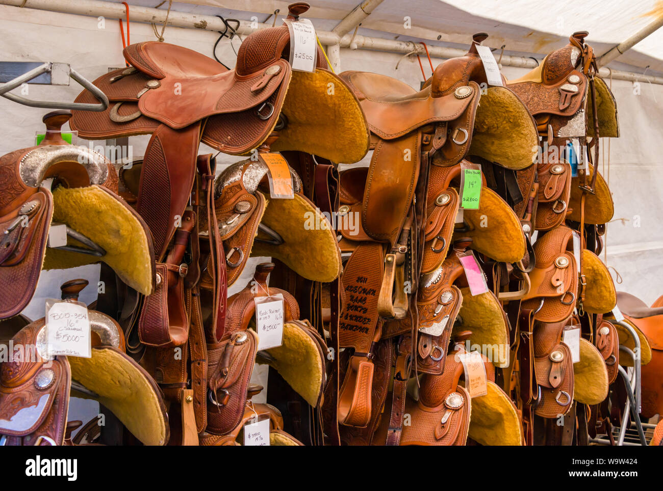 Scottsdale Arabian Horse Show Saddles for Sale Stock Photo Alamy