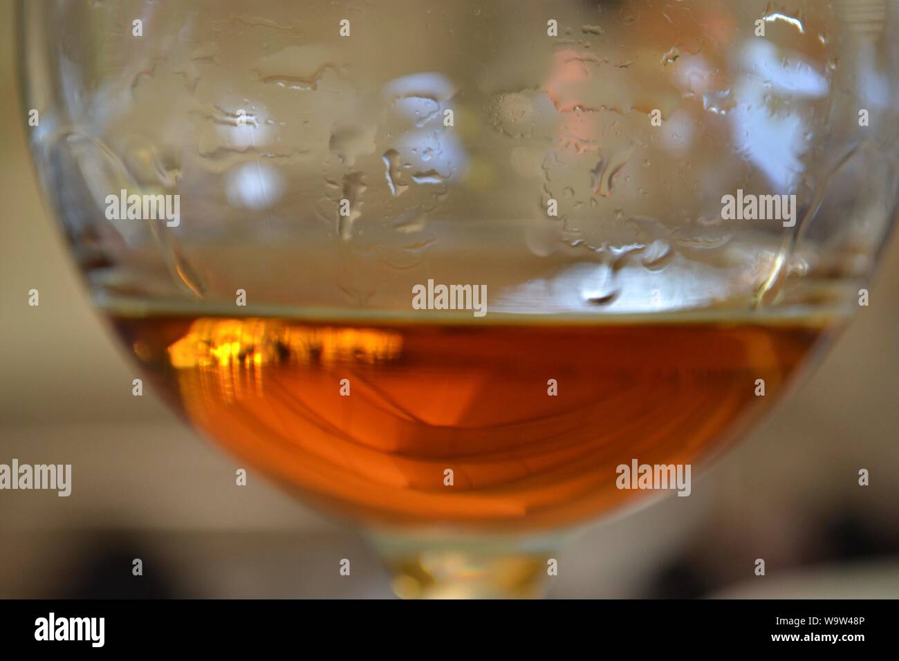 Tequila tasting at Jose Cuervo, at Tequila, Jalisco, México Stock Photo