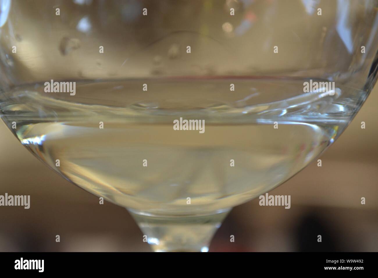 Tequila tasting at Jose Cuervo, at Tequila, Jalisco, México Stock Photo