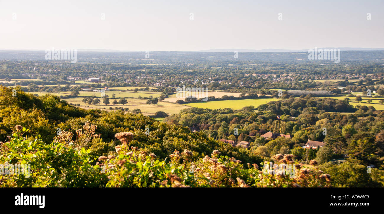 A patchwork of fields and woodland in the rural landscape of Sussex, viewed from Ditchling Beacon hill on the steep slopes of the South Downs. Stock Photo