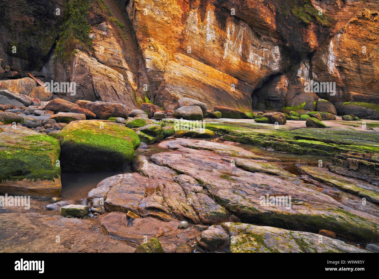 A minus low tide offers a temporary exploration among the sandstone walls of Devils Punchbowl on Oregon’s central coastline. Stock Photo